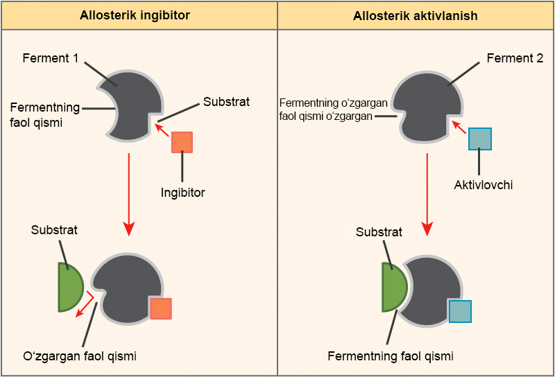 Oyoq fetishi Mariya Semkina Erotik jonli fon rasmi