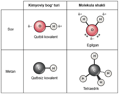 Marina Andreeva ishtirokidagi soxta pornoni bepul yuklab oling