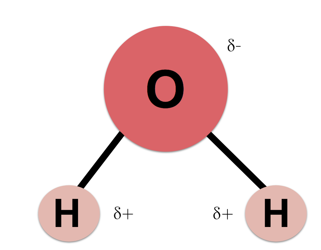 h2o atomic structure