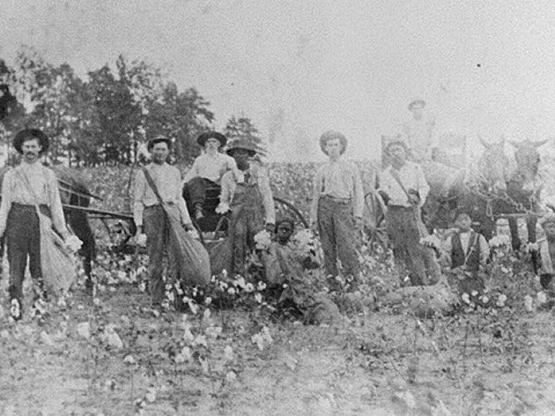 sharecropping after civil war