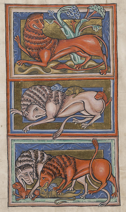 The Bestiary of Christ