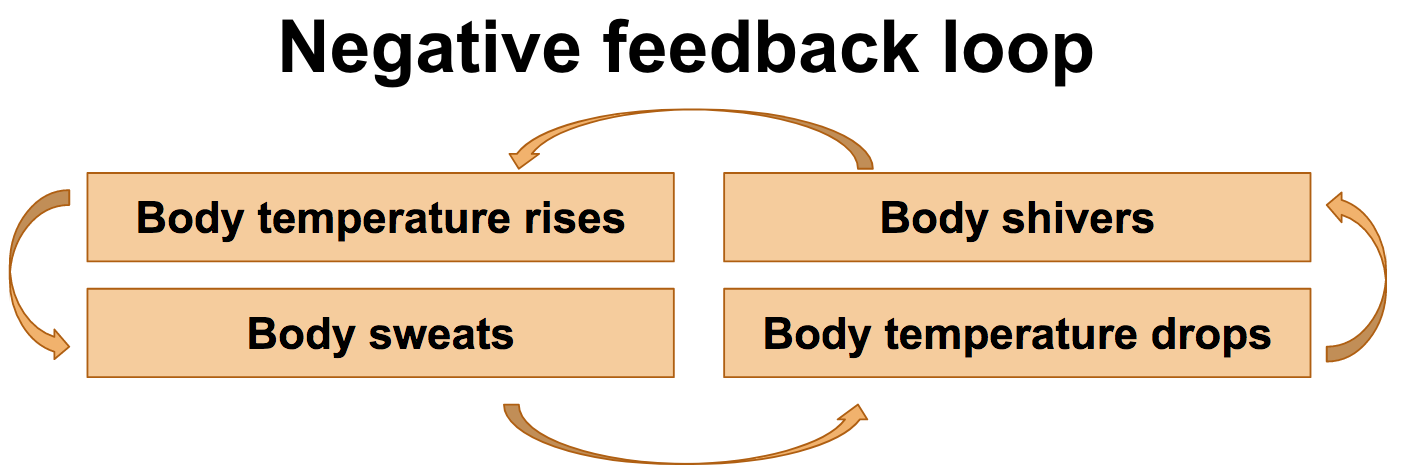 negative feedback examples