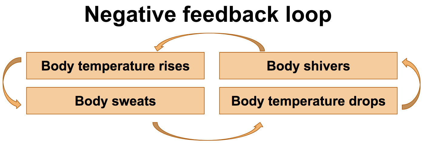 Other Names For Negative Feedback