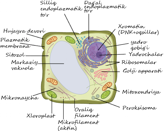 Internetda birovning xotinini tez sikdim. Hojatxonada siyayotgan odamlarga qarash