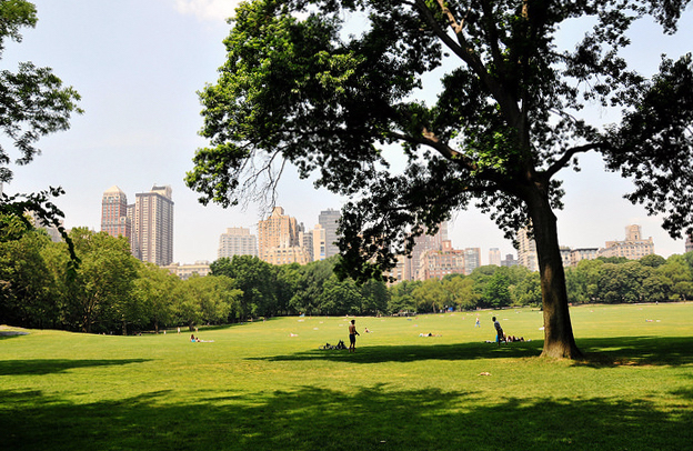 Sheep Meadow, Central Park, New York City  (photo: yourdon, CC BY-NC-SA 2.0)