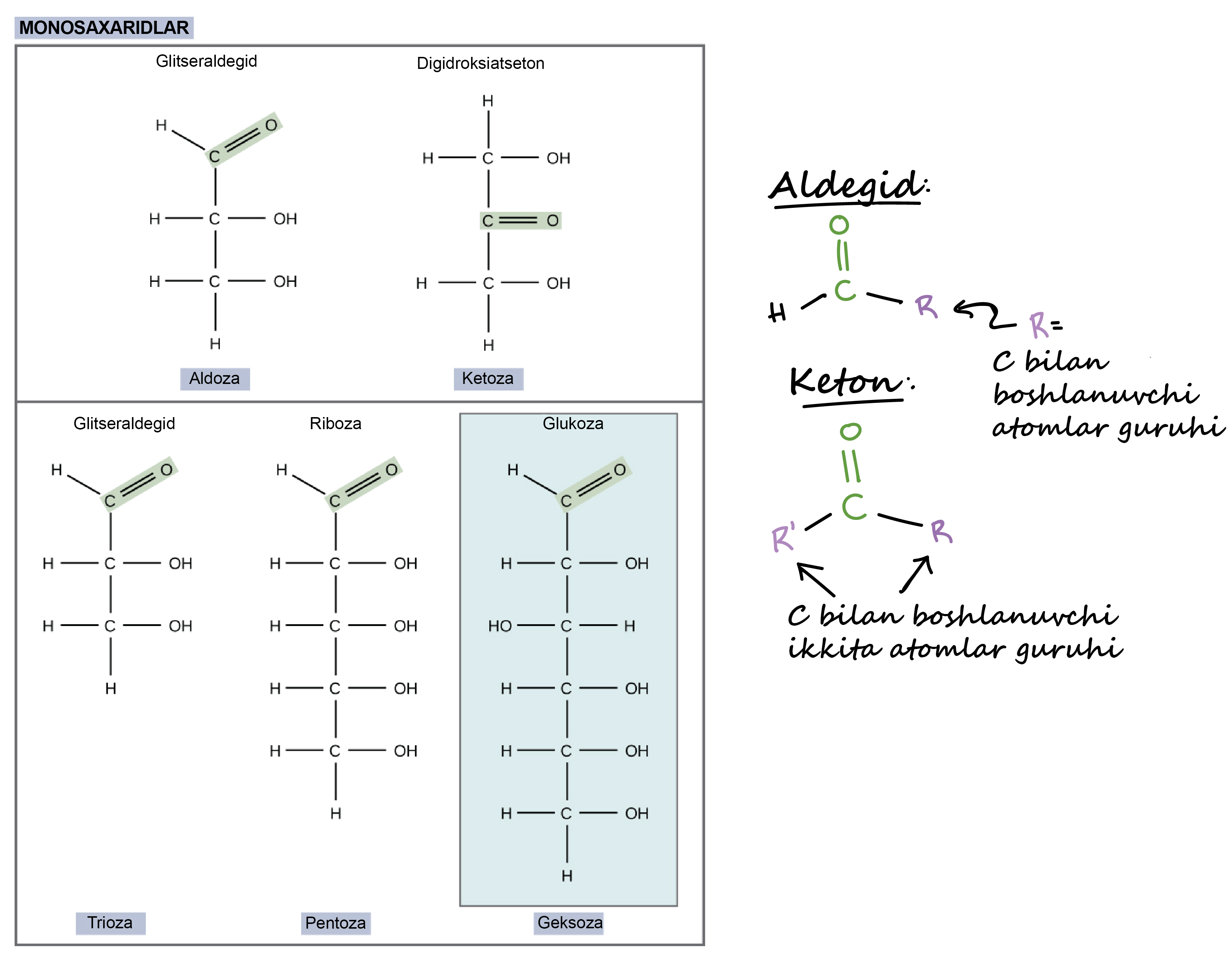 Hammom ona jinsiy video onlayn