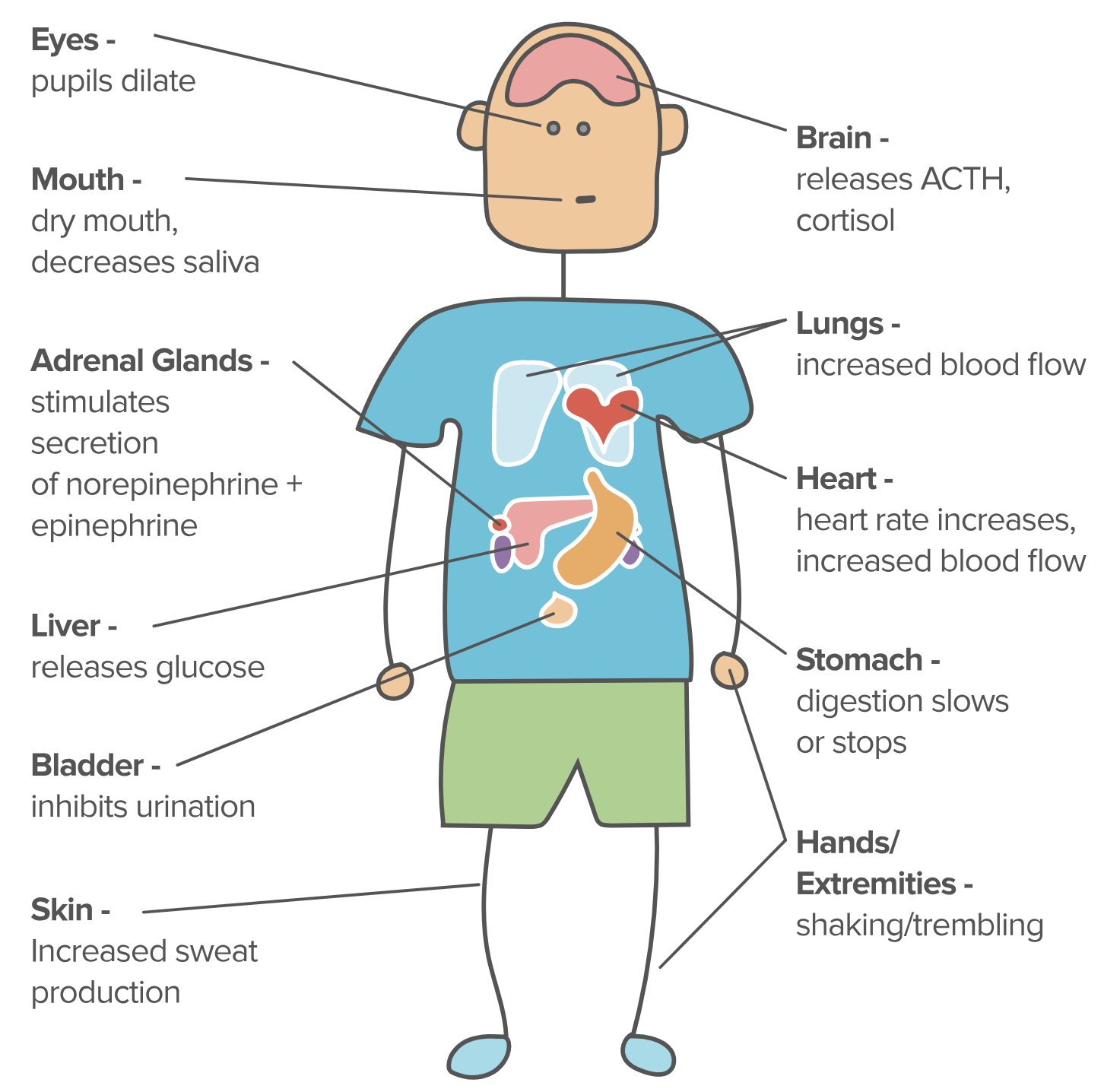 Post Traumatic Stress Symptoms