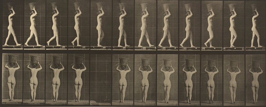 Body Painting Nudist Camp Video - Marcel Duchamp, Nude Descending a Staircase, No 2 (article ...