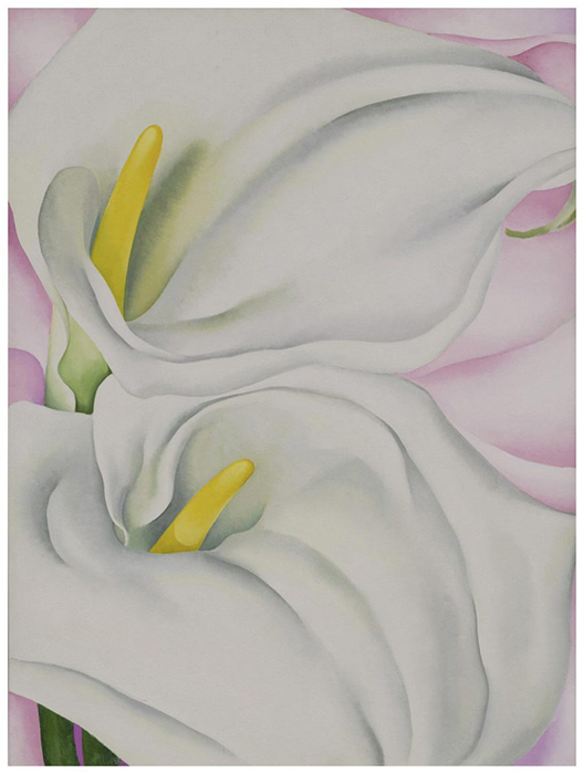 Georgia O’Keeffe, Two Calla Lilies on Pink, 1928, oil on canvas, 101.6 × 76.2 cm (Philadelphia Museum of Art)