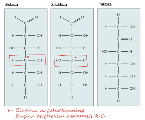 BBWlar anal va ogzaki jinsiy aloqani yaxshi koradilar