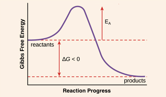 blank activation energy graph