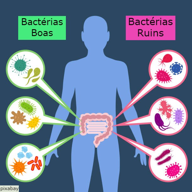 O Que é Uma Bacteria Patogenica