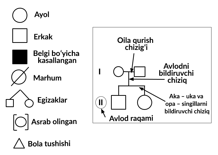 Katta kokrakli kichkina Mistik porno filmlar