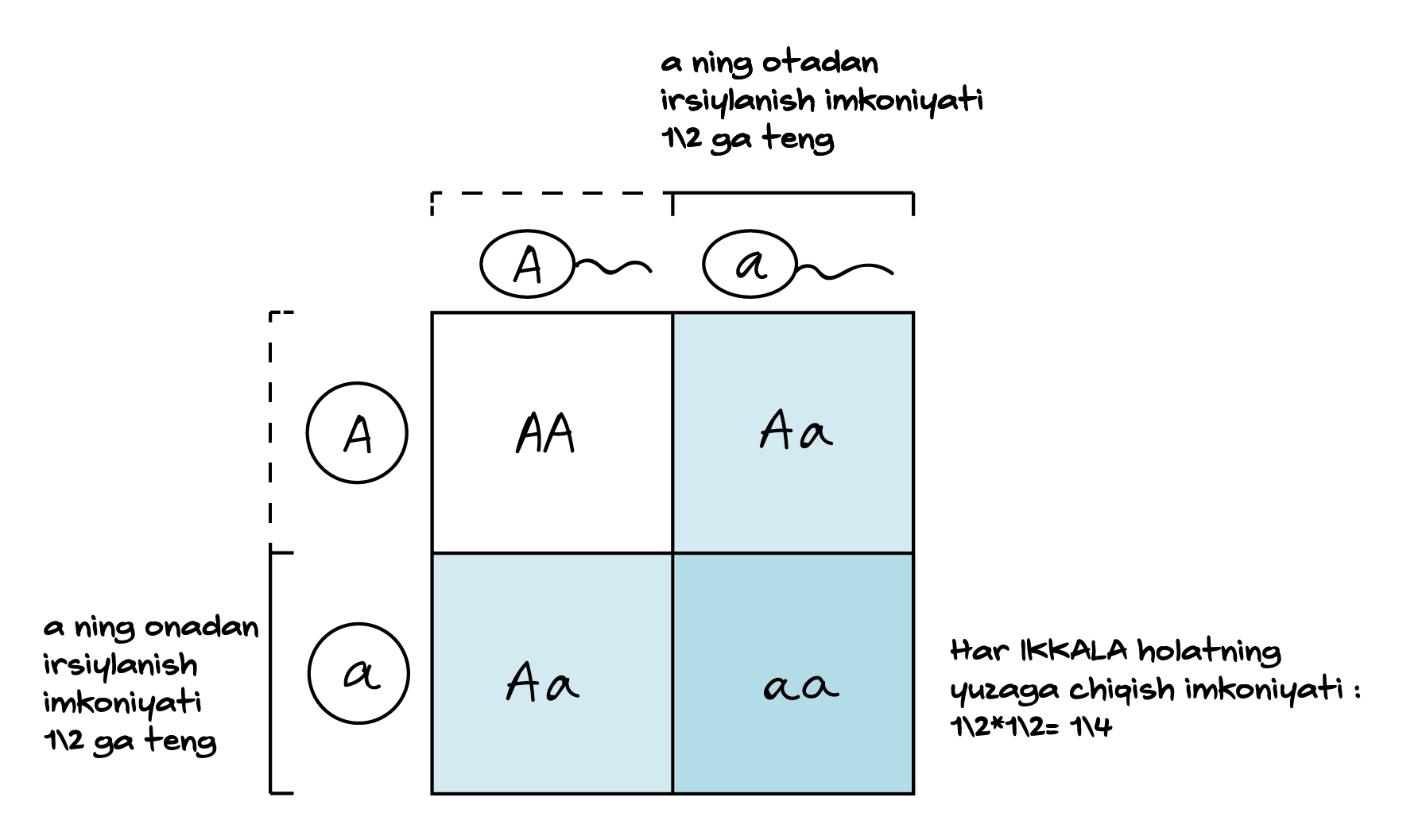Volochkova uy qurilishi porno