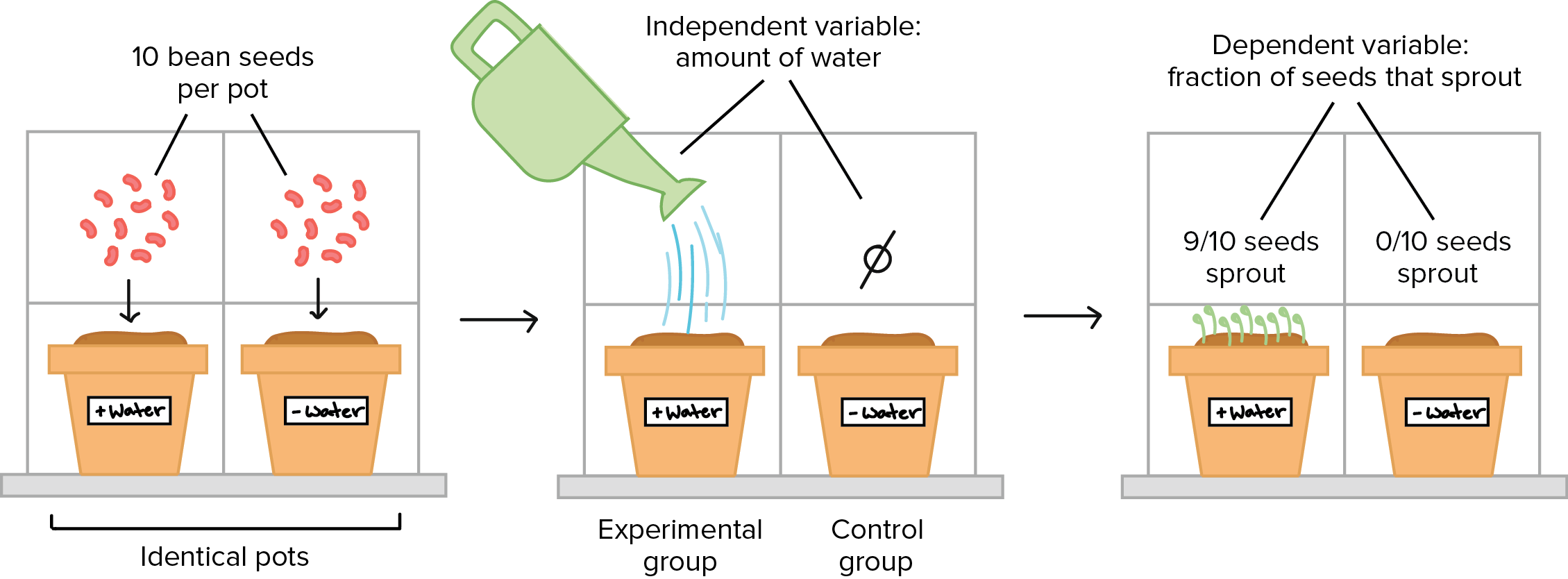 control in lab experiment