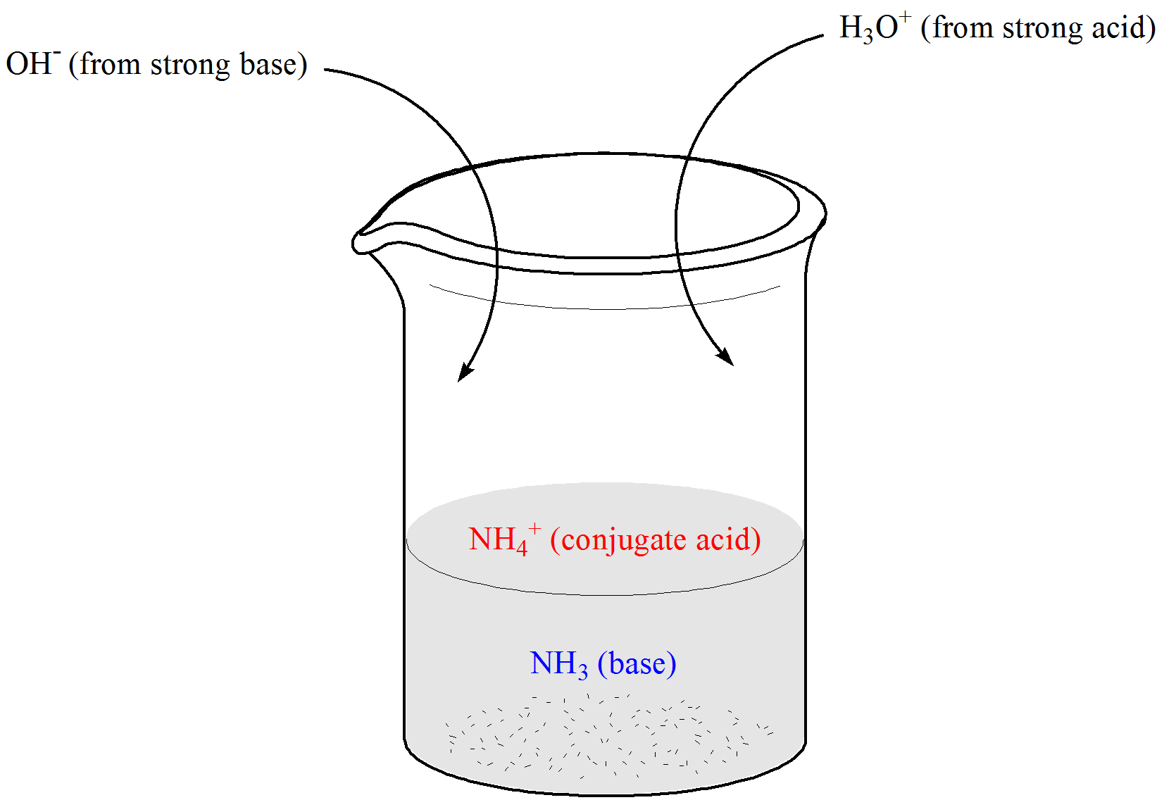 Illustration of beaker containing weak base NH3 and its conjugate acid, ammonium ion