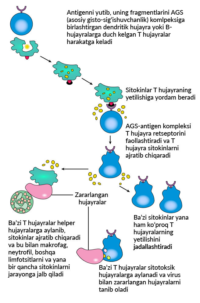 Sir David pornosini onlayn tomosha qiling