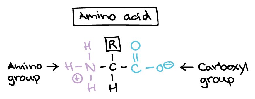 Porno video sikish qizlar kechasi