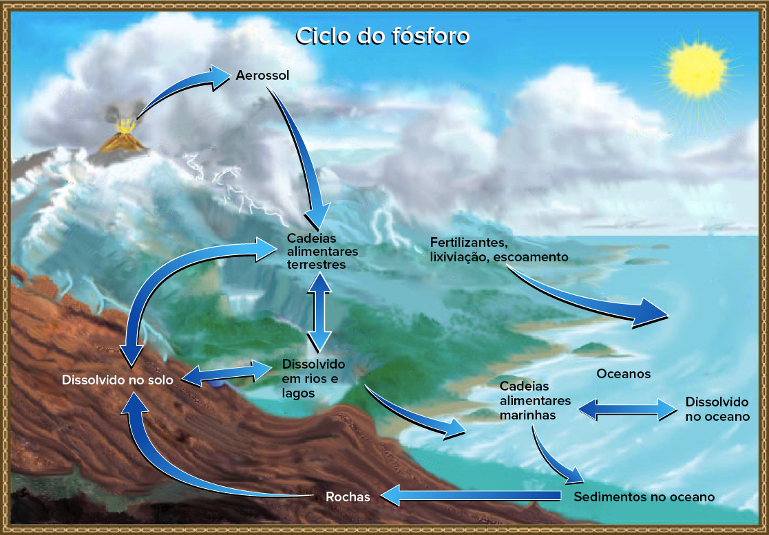 Ecologia, PDF, Nitrogênio