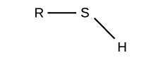 modelo de grupo sulfhidrilo