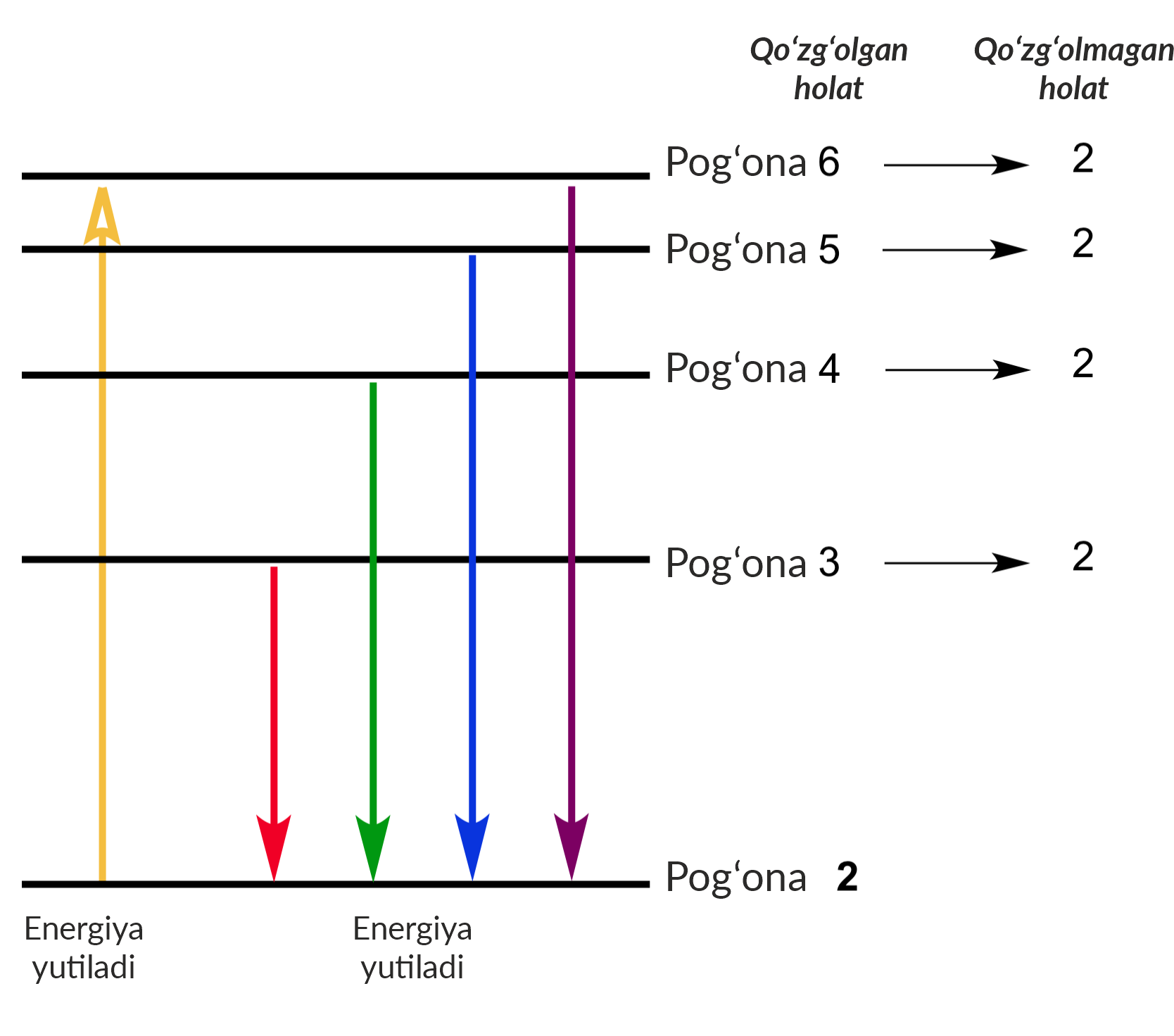 Alena Vodonaeva tomonidan Dom 2 da jinsiy aloqa