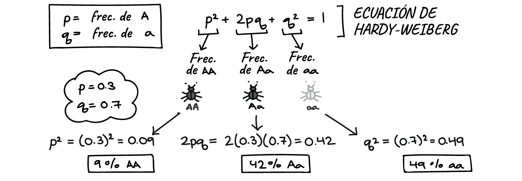 Mecanismos de la evolución (artículo) | Khan Academy