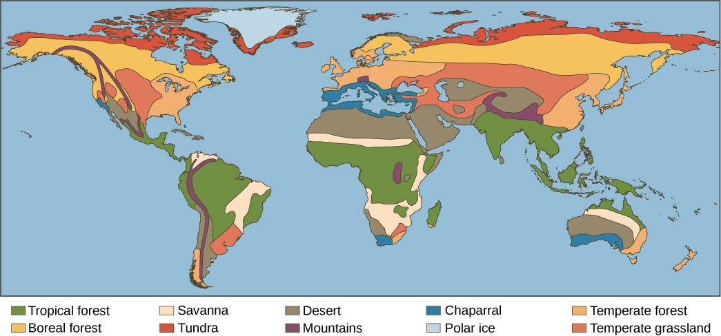 What are the 8 global ecosystems?