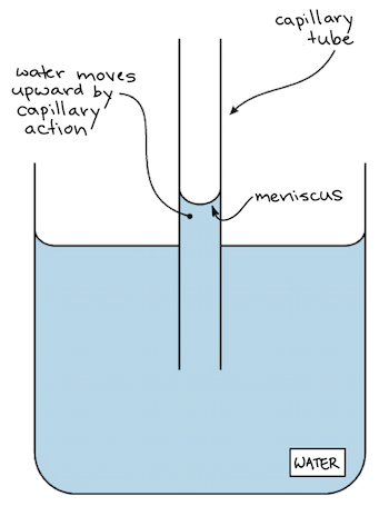 adhesion of water meniscus