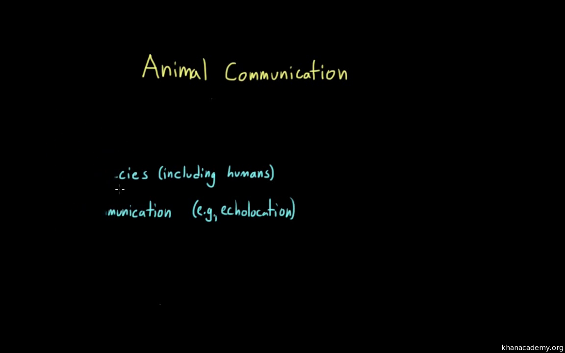 Animal communication (video) | Ecology | Khan Academy