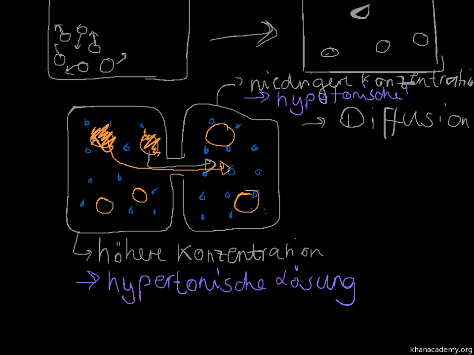 Diffusion Und Osmose Video Khan Academy