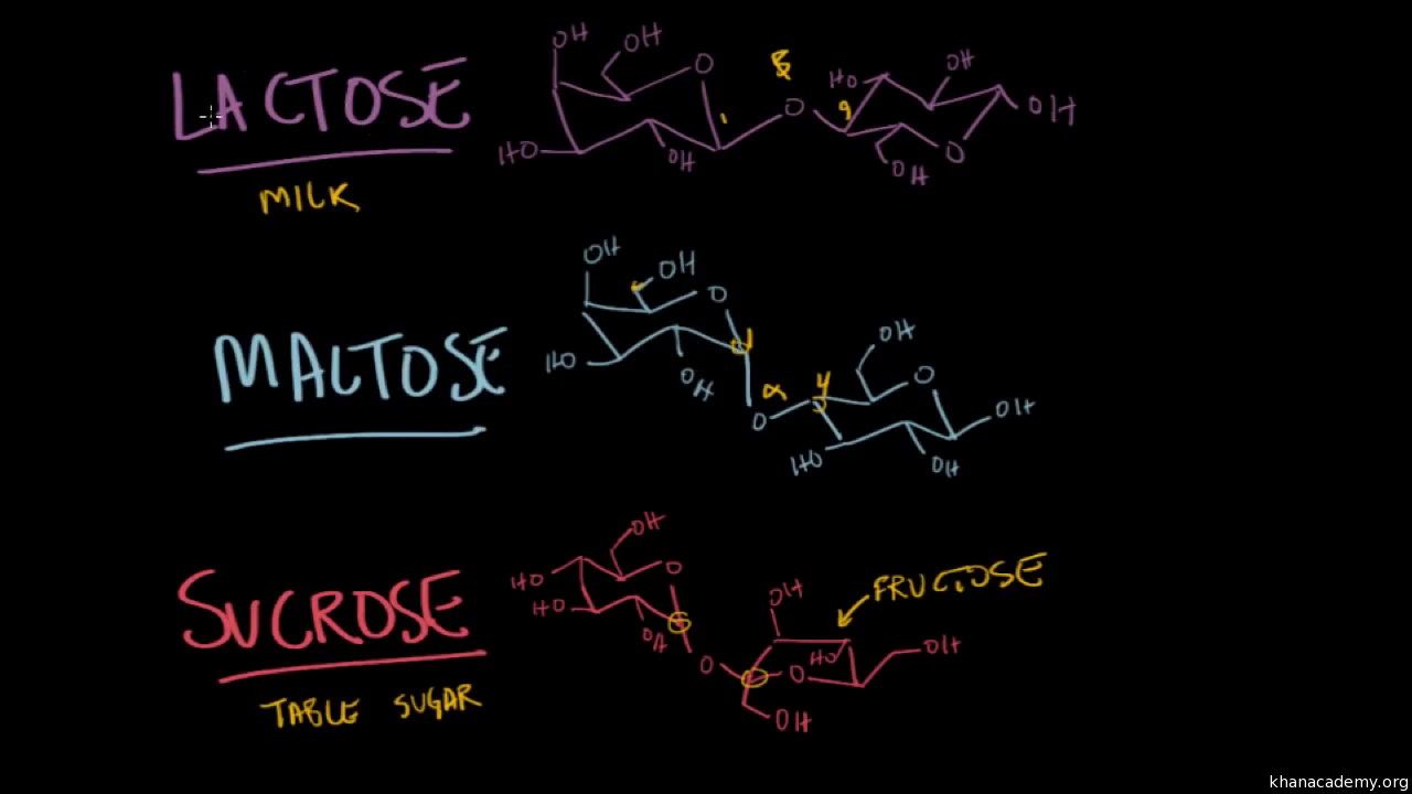 | polysaccharides Disaccharides (video) Academy Khan and