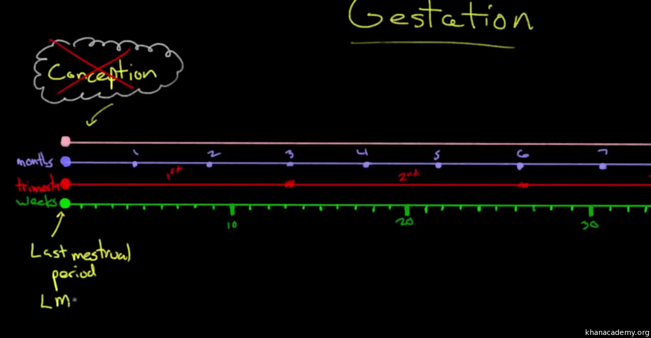 khan academy physics mcat