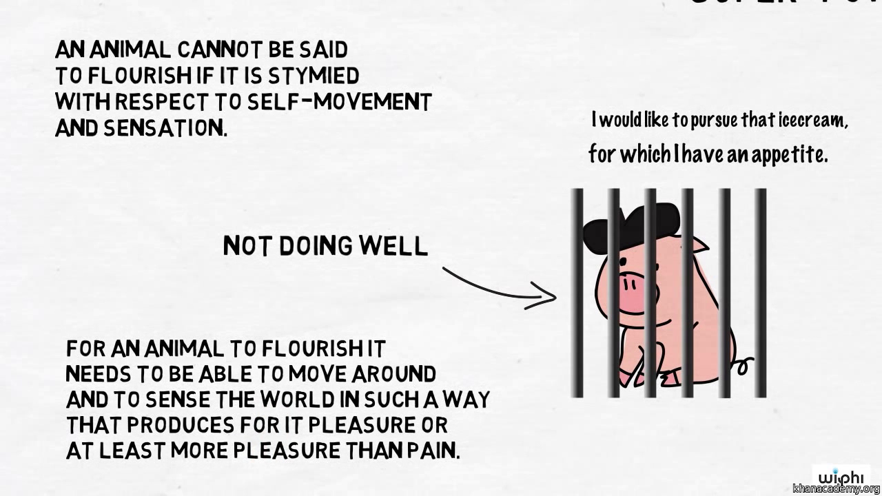 aristotle role of pleasure in lif Guy cuts off his own penis video