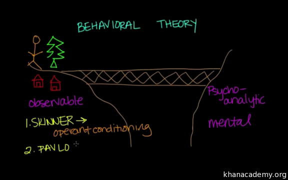 behavioral perspective theory