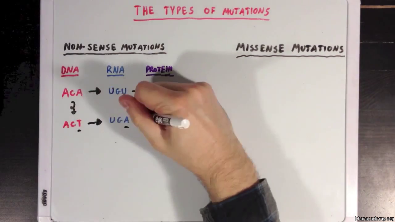 The Different Types Of Mutations Video Khan Academy