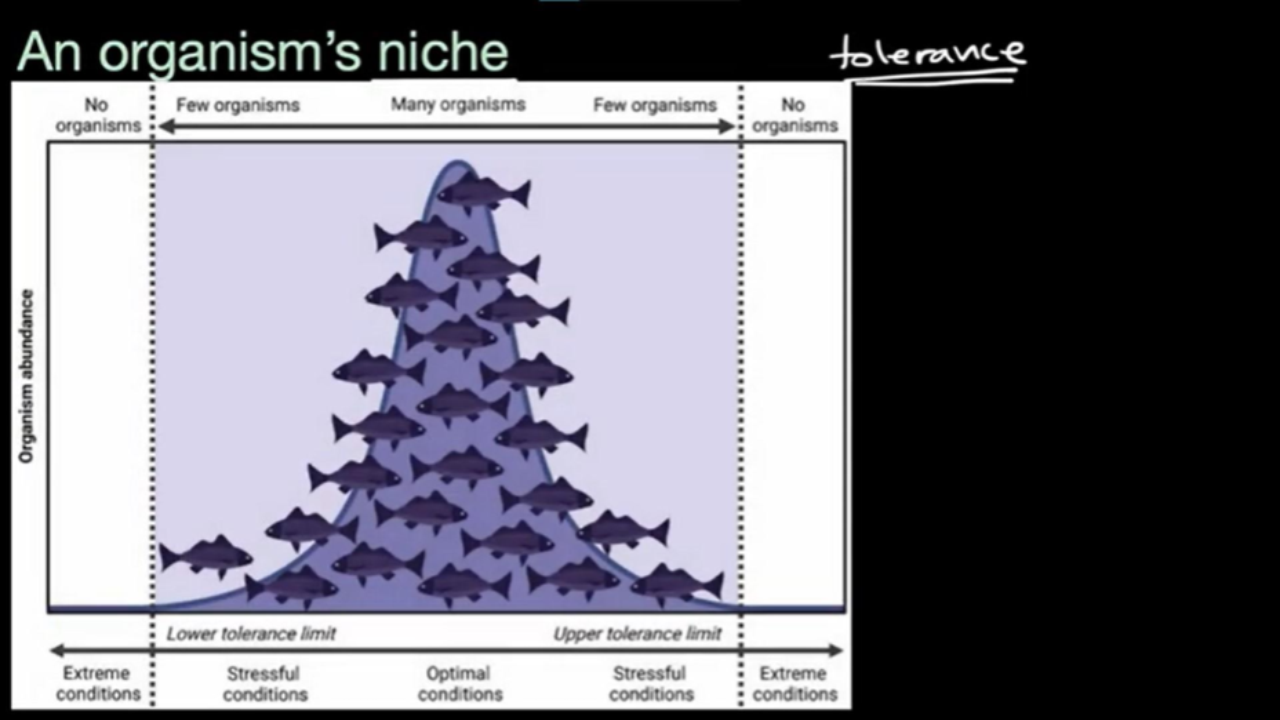 An organism's niche (understand) (practice) | Khan Academy