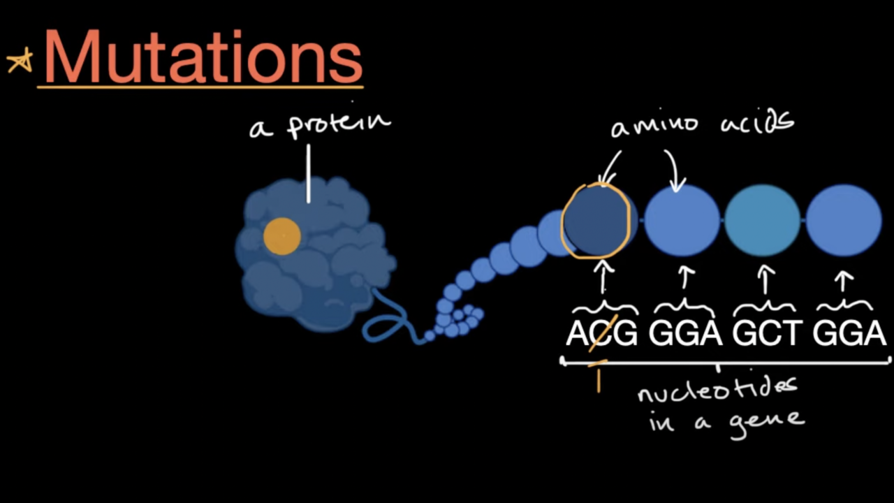 Mutations