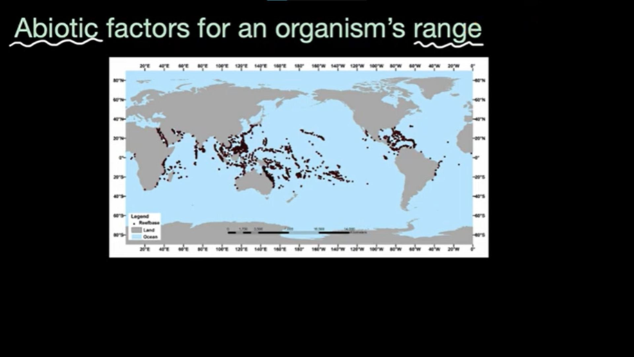 An organism's niche (understand) (practice) Khan Academy
