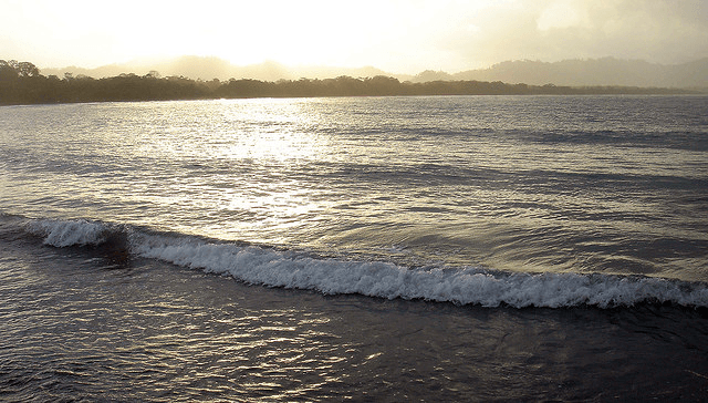 Una bonita playa llena de color.