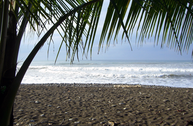 Una bonita playa llena de color.